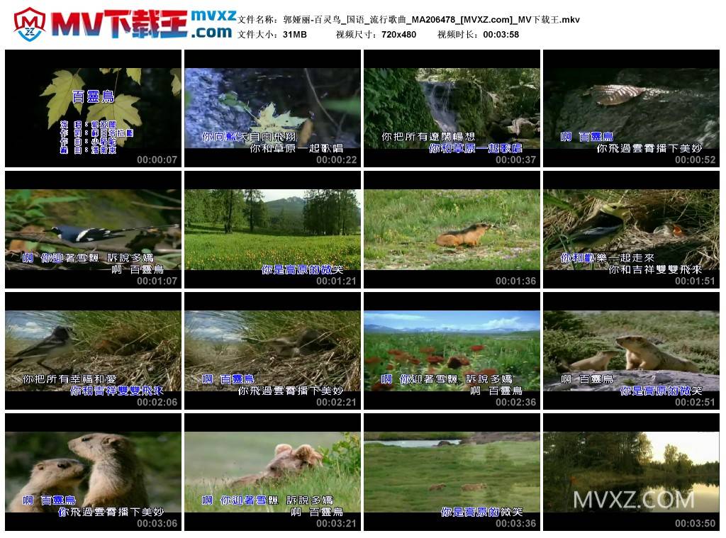 郭娅丽-百灵鸟_国语_流行歌曲_MA206478